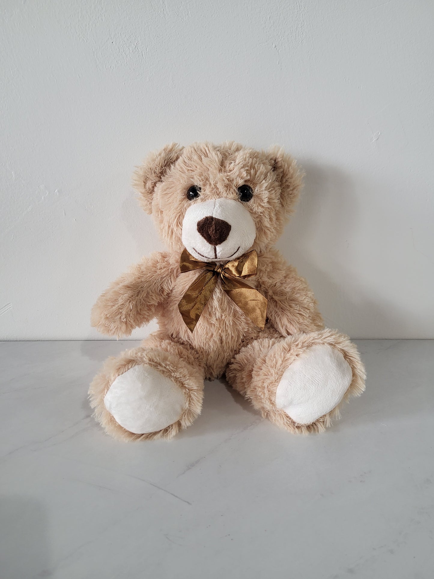 Small Teddy Bear
