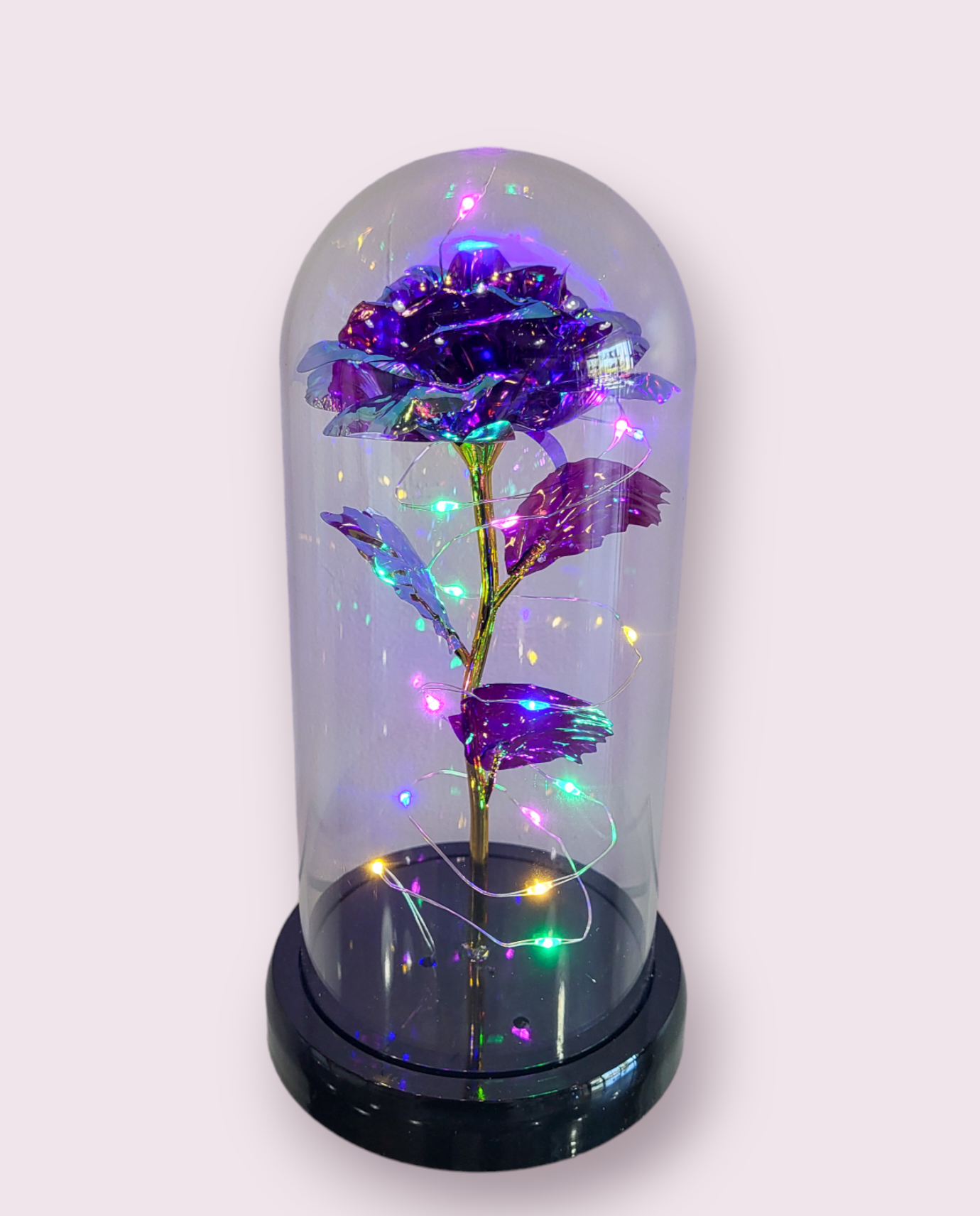 Light up Rose Dome