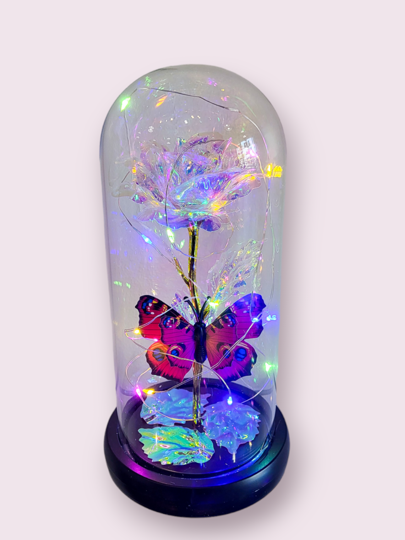Light up Rose Dome