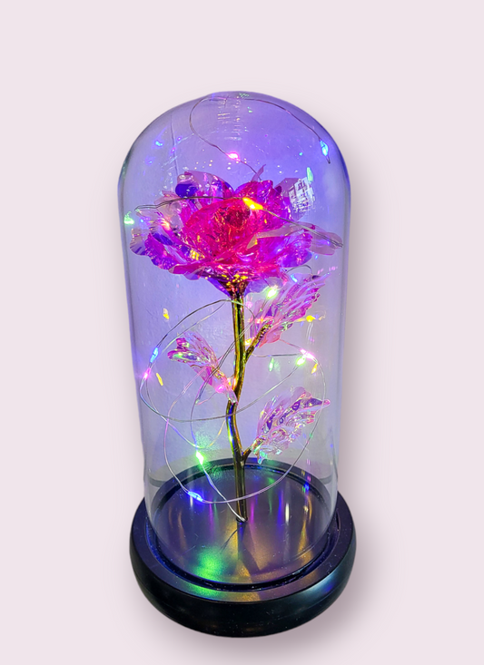 Light up Rose Dome